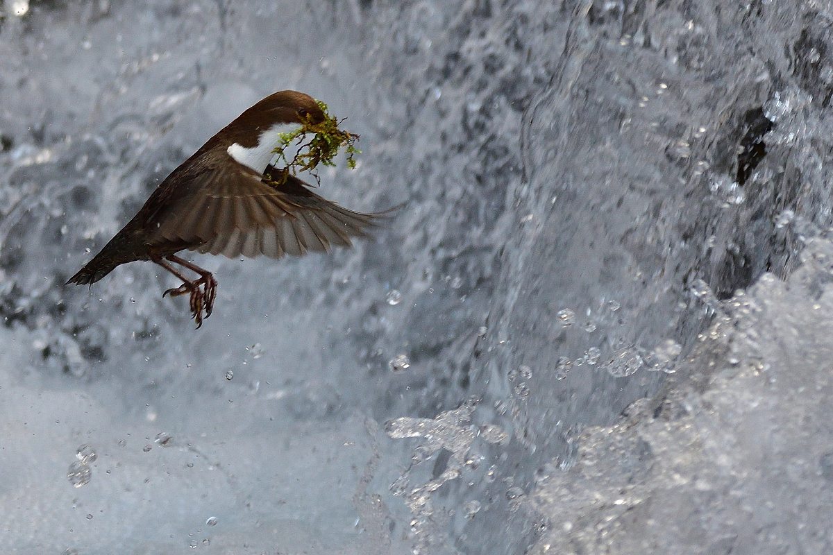DSC_7573.jpg