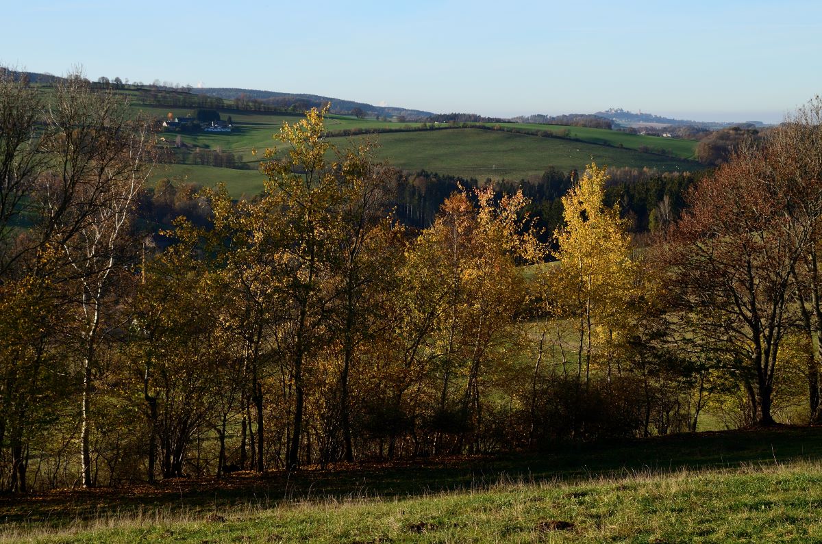 DSC_7573_00001 (2)n.jpg