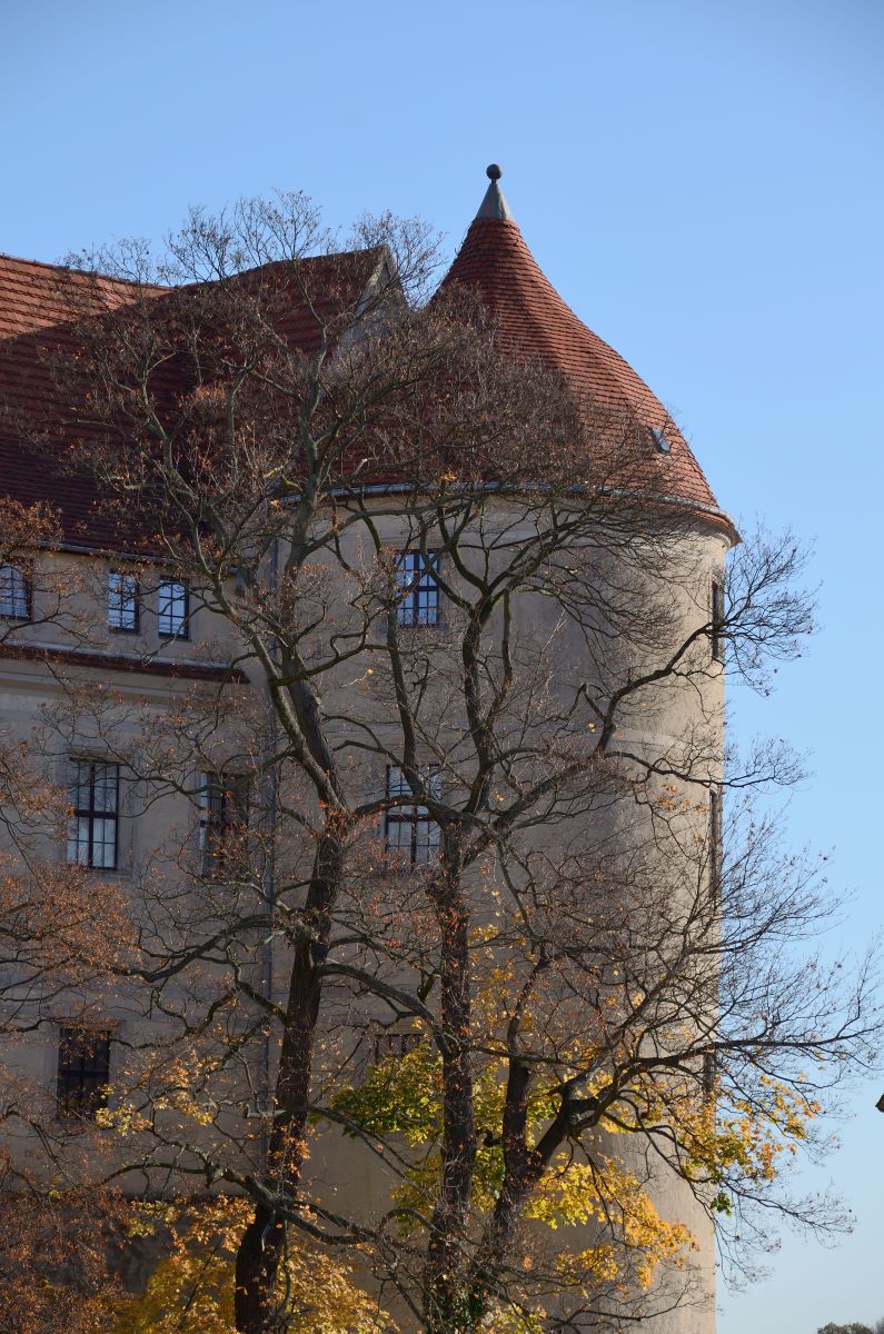 DSC_7605_00001n.jpg