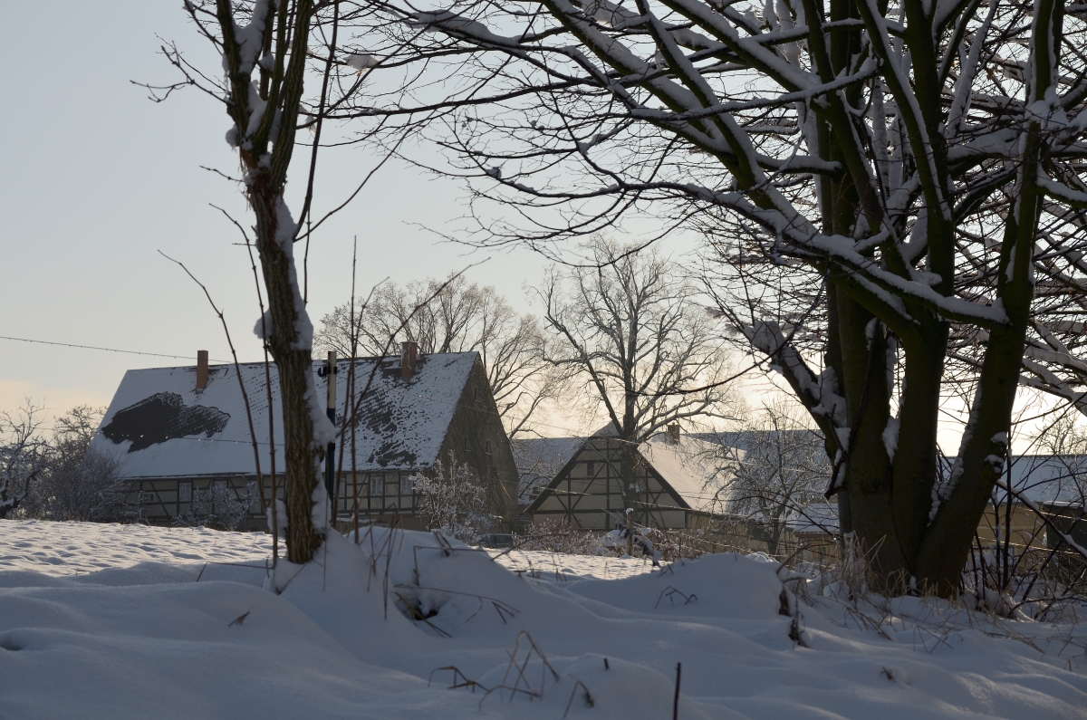 DSC_7670_00001n.jpg