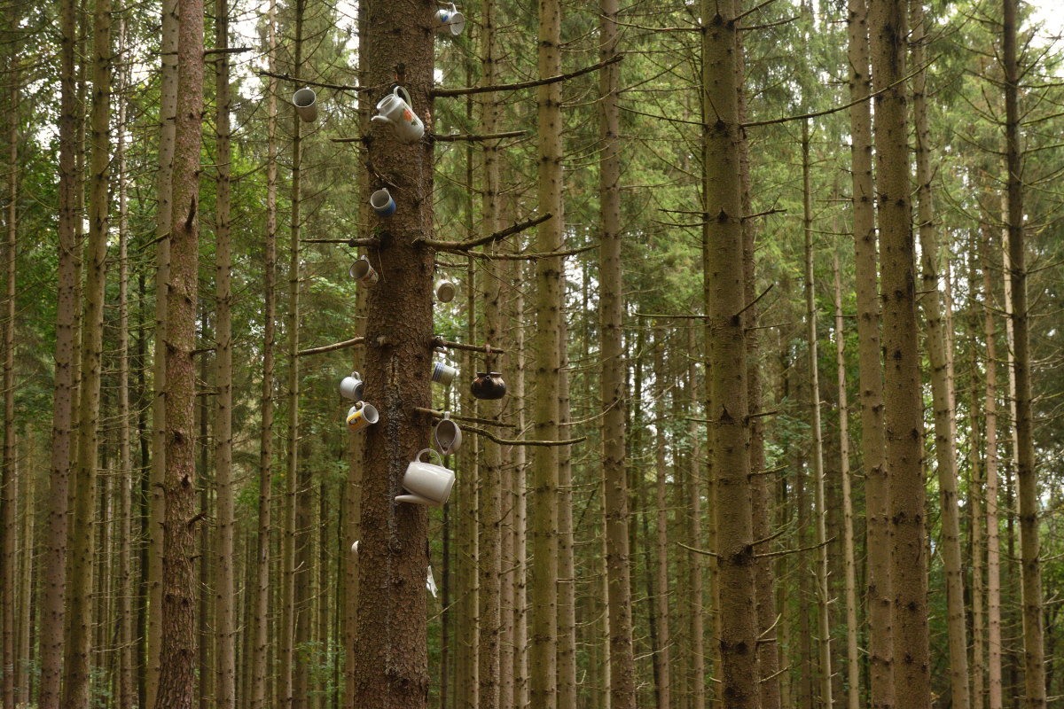 DSC_7689.JPG