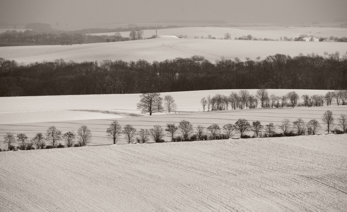 DSC_7697_00001_05n.jpg