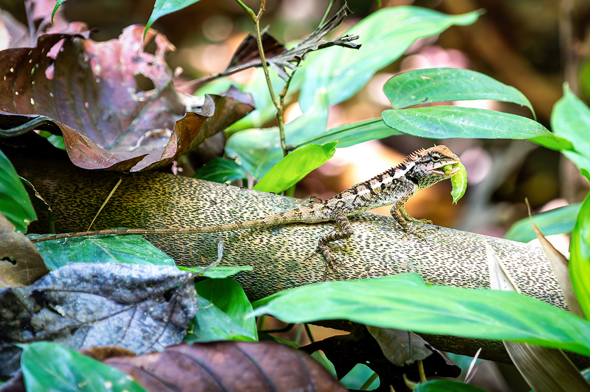 DSC_7714.jpg