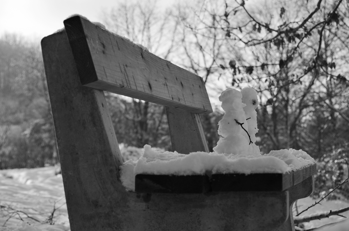 DSC_7719_00001_04n.jpg