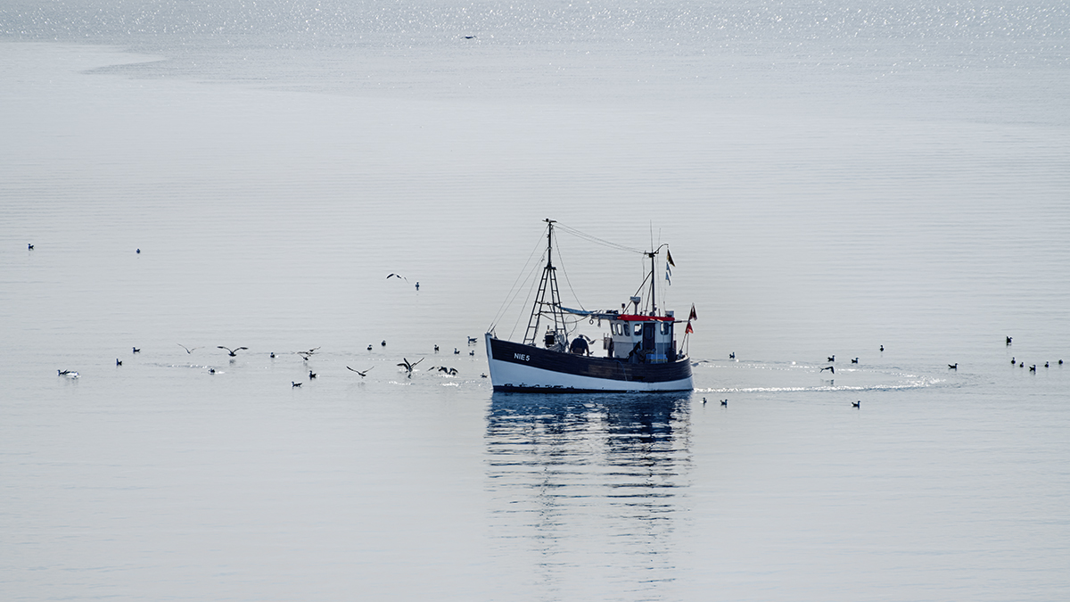 DSC_7732.jpg