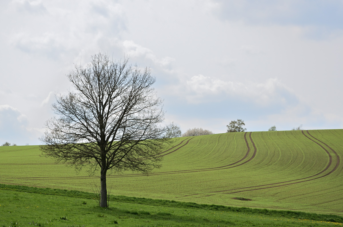 DSC_7756.JPG
