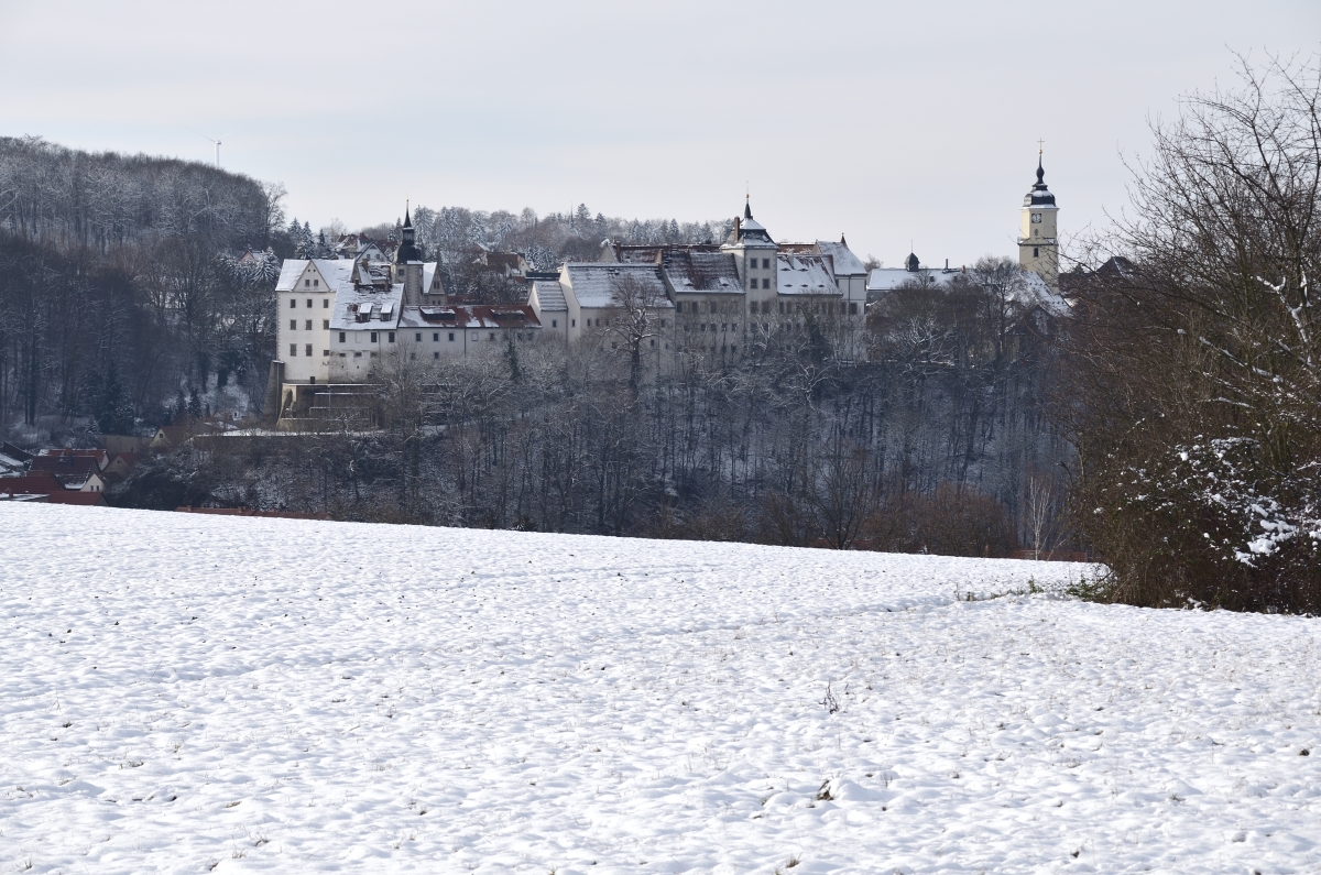 DSC_7763_00001_03n.jpg