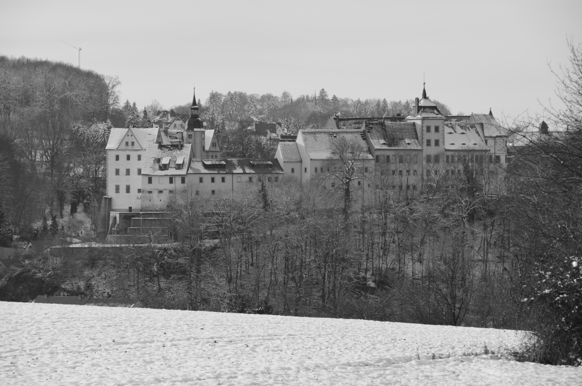 DSC_7770_00001_06n.jpg