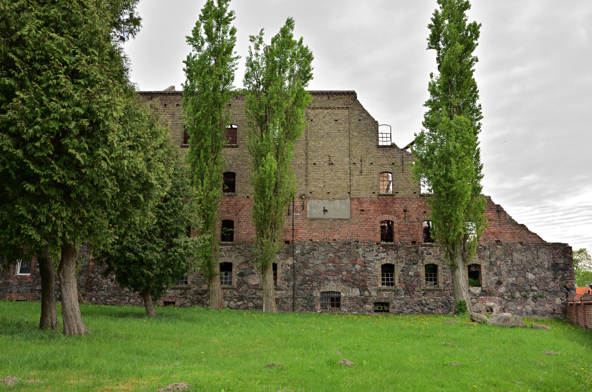 DSC_7774.JPG