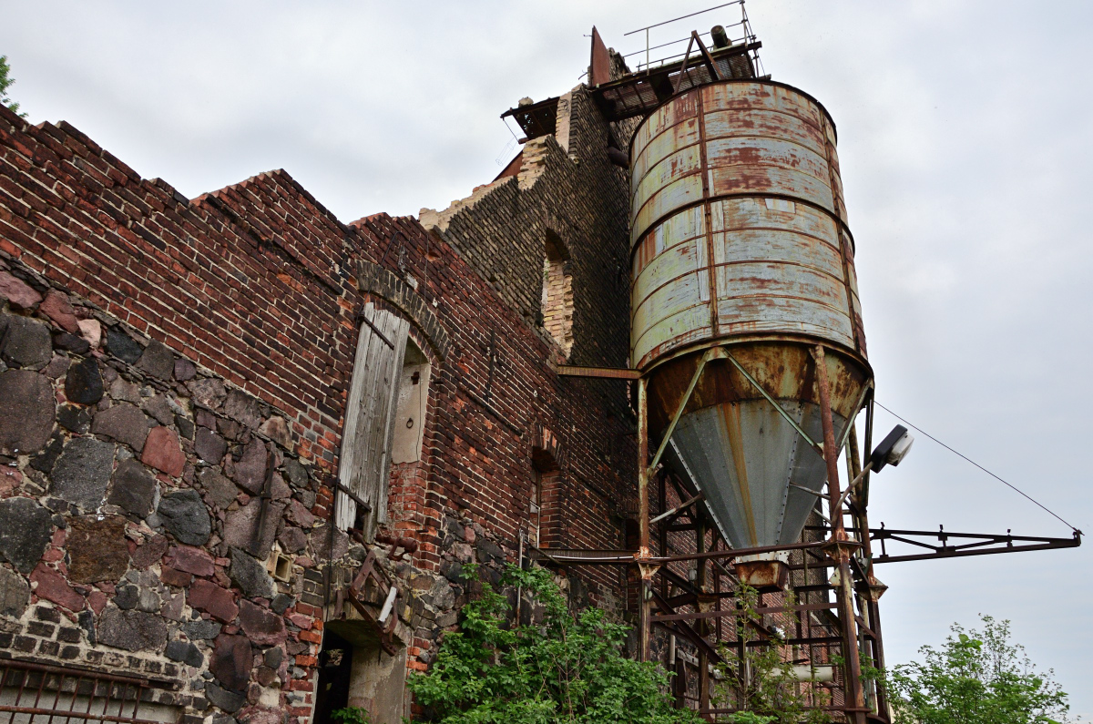 DSC_7785.JPG