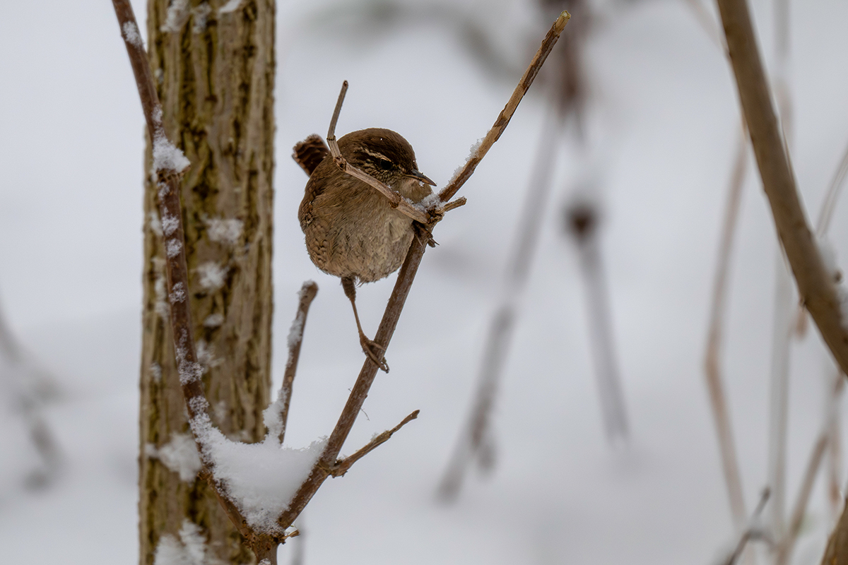 DSC_7788.jpg