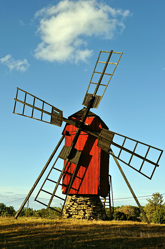 DSC_7795.jpg