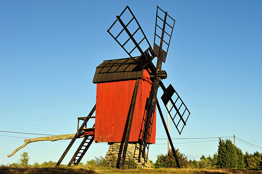 DSC_7796.jpg