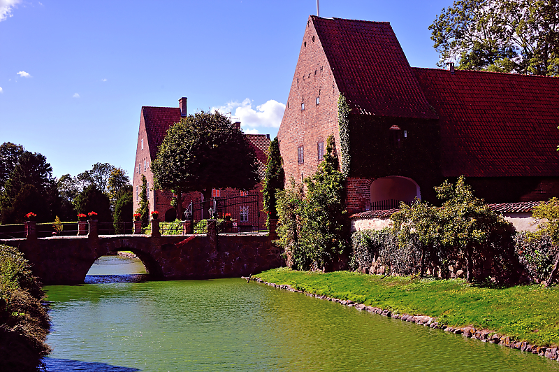 DSC_7821.jpg