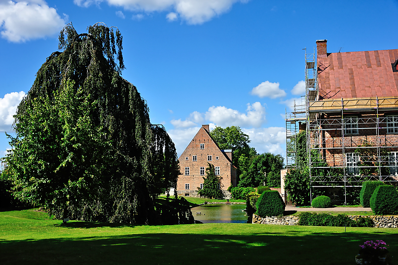 DSC_7822.jpg