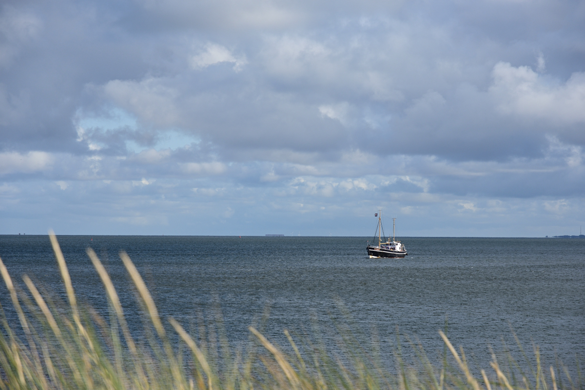 DSC_7827.JPG