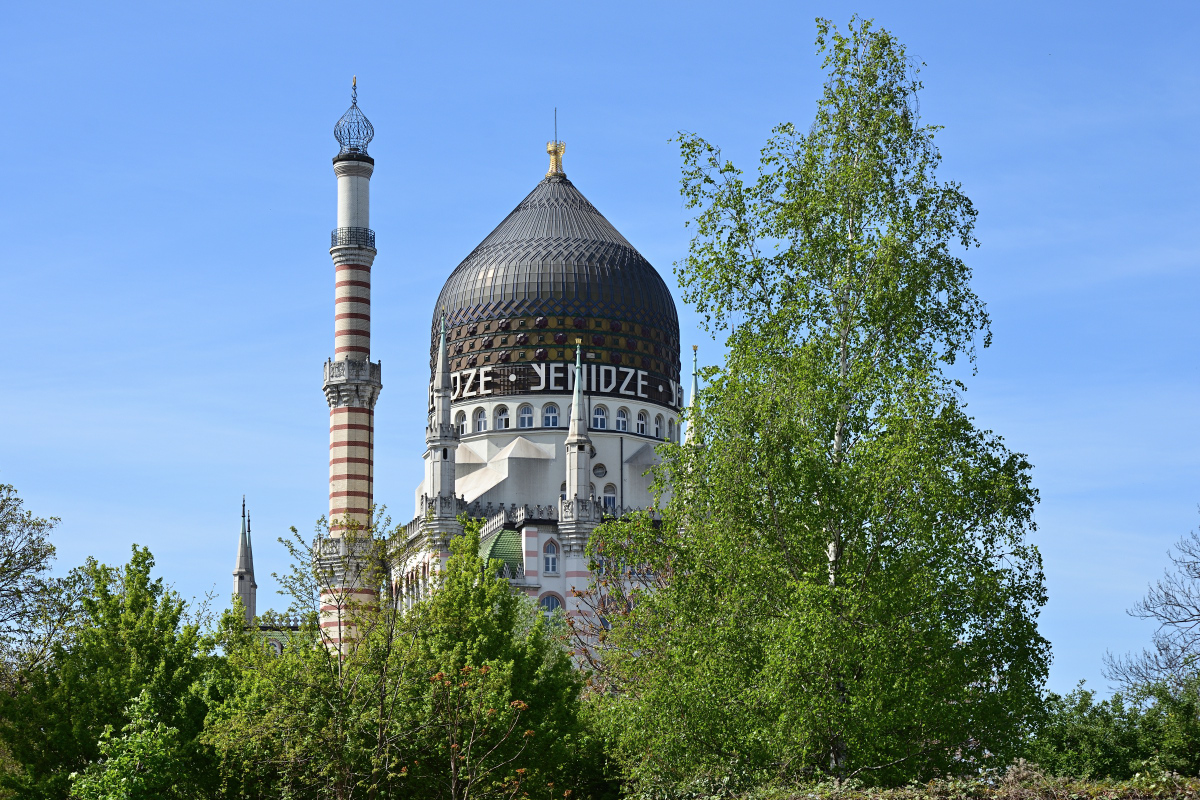 DSC_7847.JPG