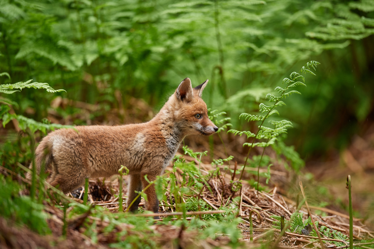 DSC_7860.jpg