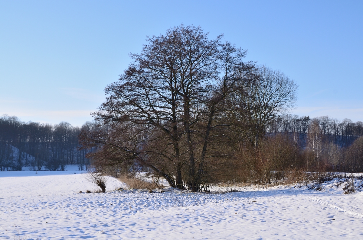 DSC_7877_00001n.jpg