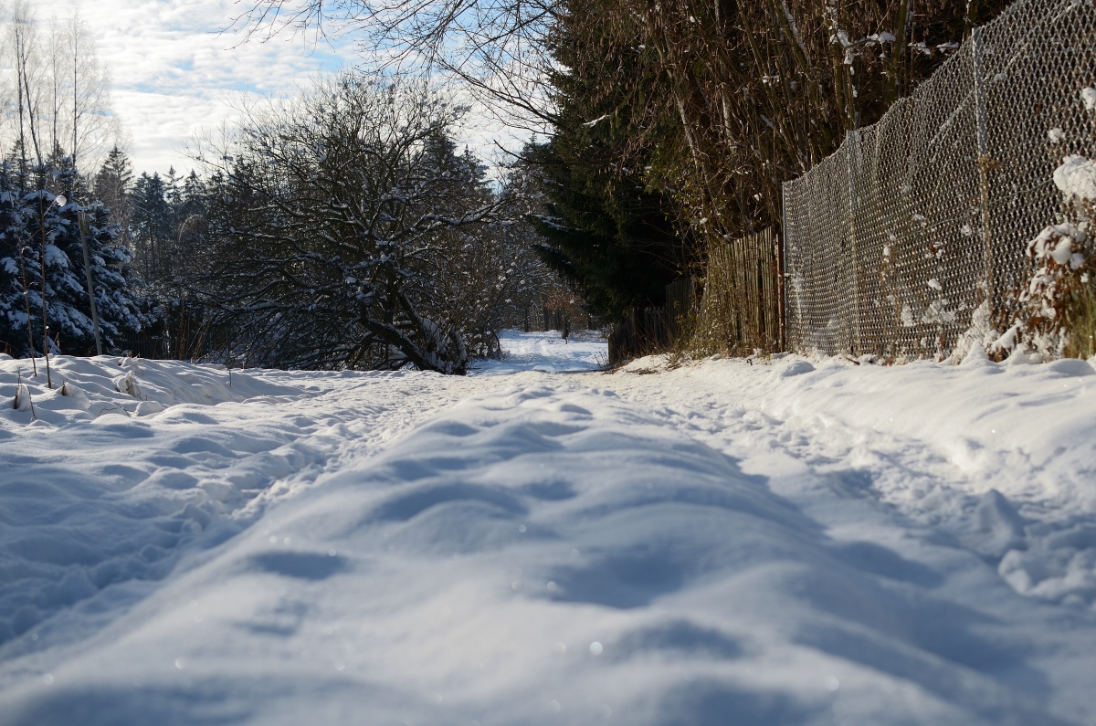 DSC_7904_00001n.jpg