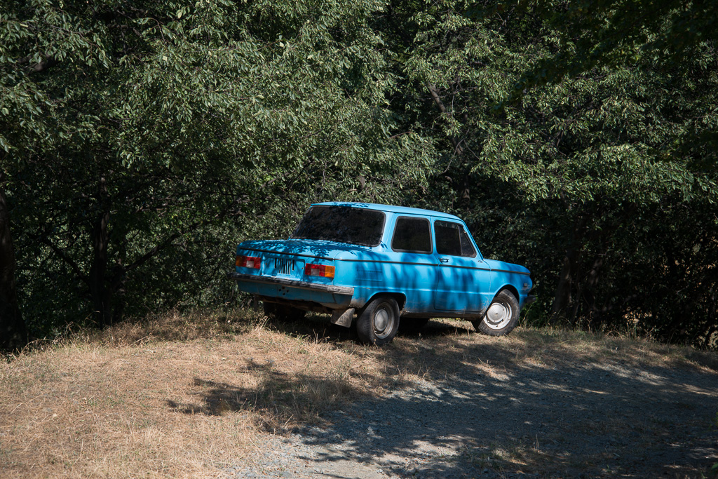 DSC_7906-1-2.JPG