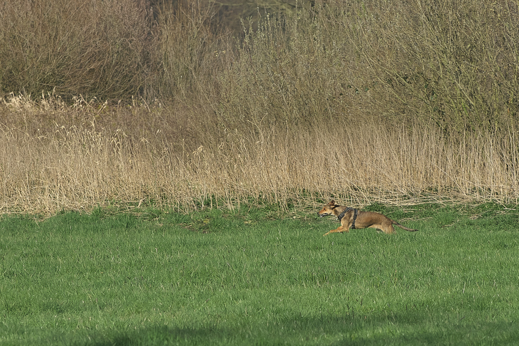 DSC_7926.jpg