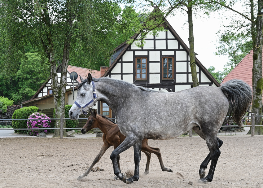 DSC_7940.jpg