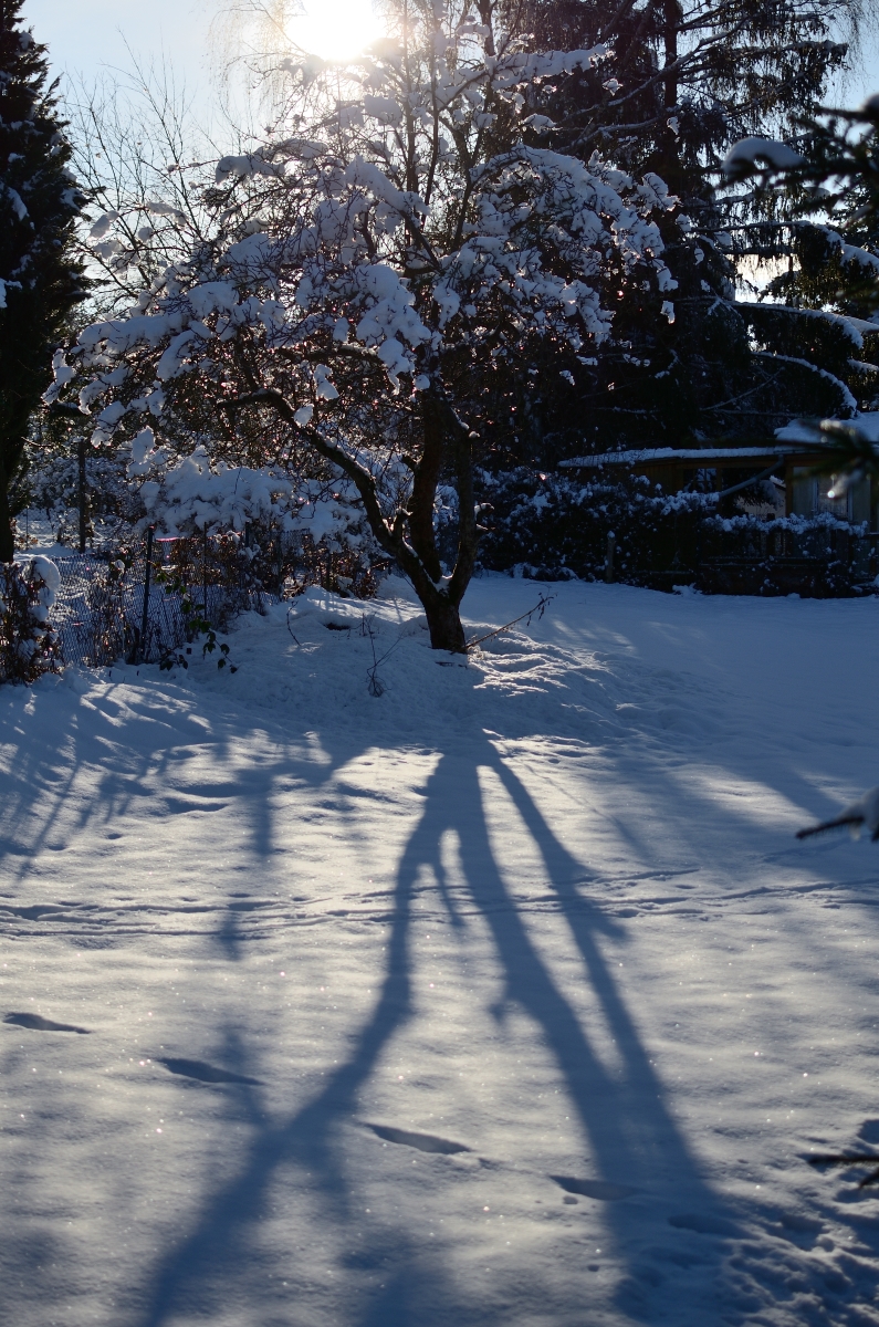 DSC_7973_00001_02n.jpg