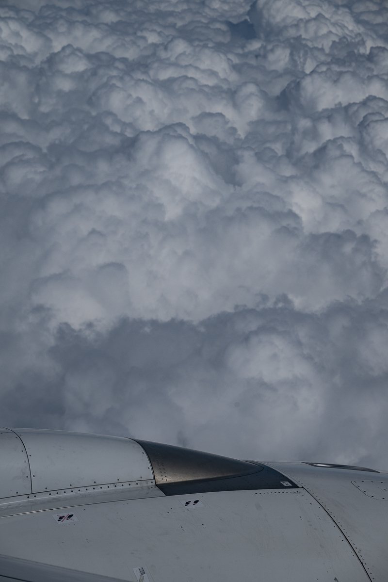 DSC_8001.jpg