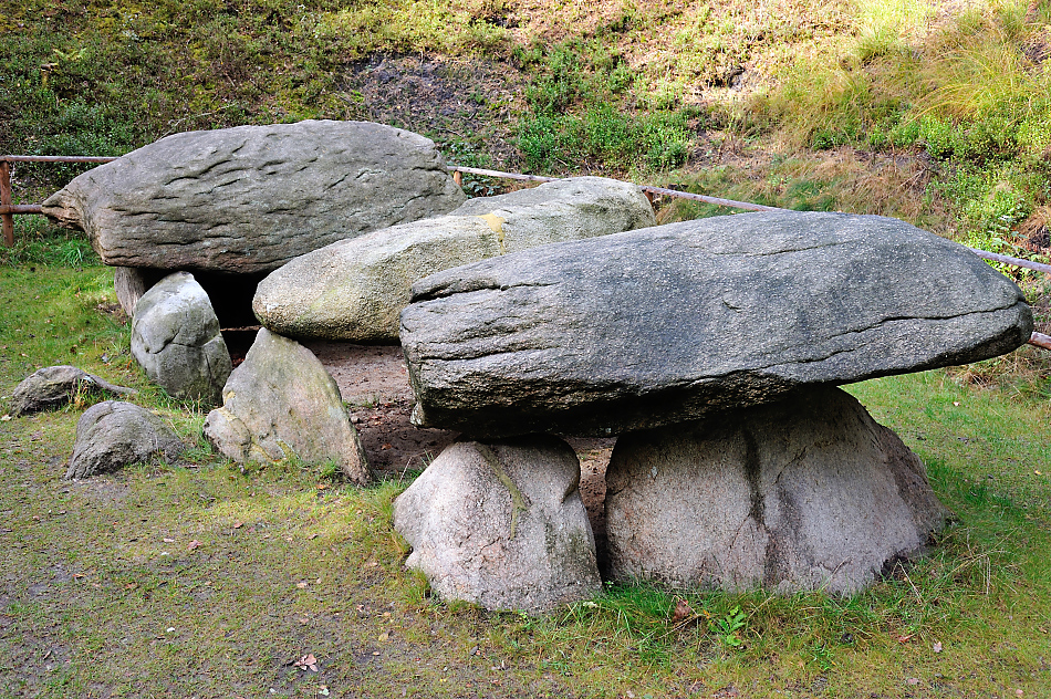 DSC_8040.jpg