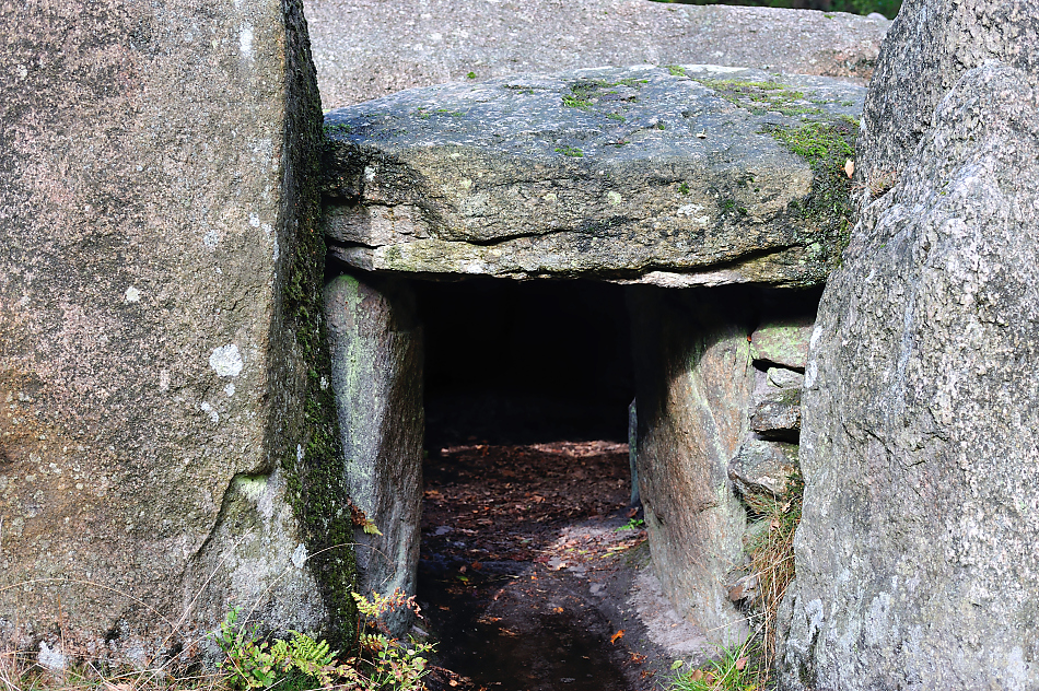 DSC_8053.jpg