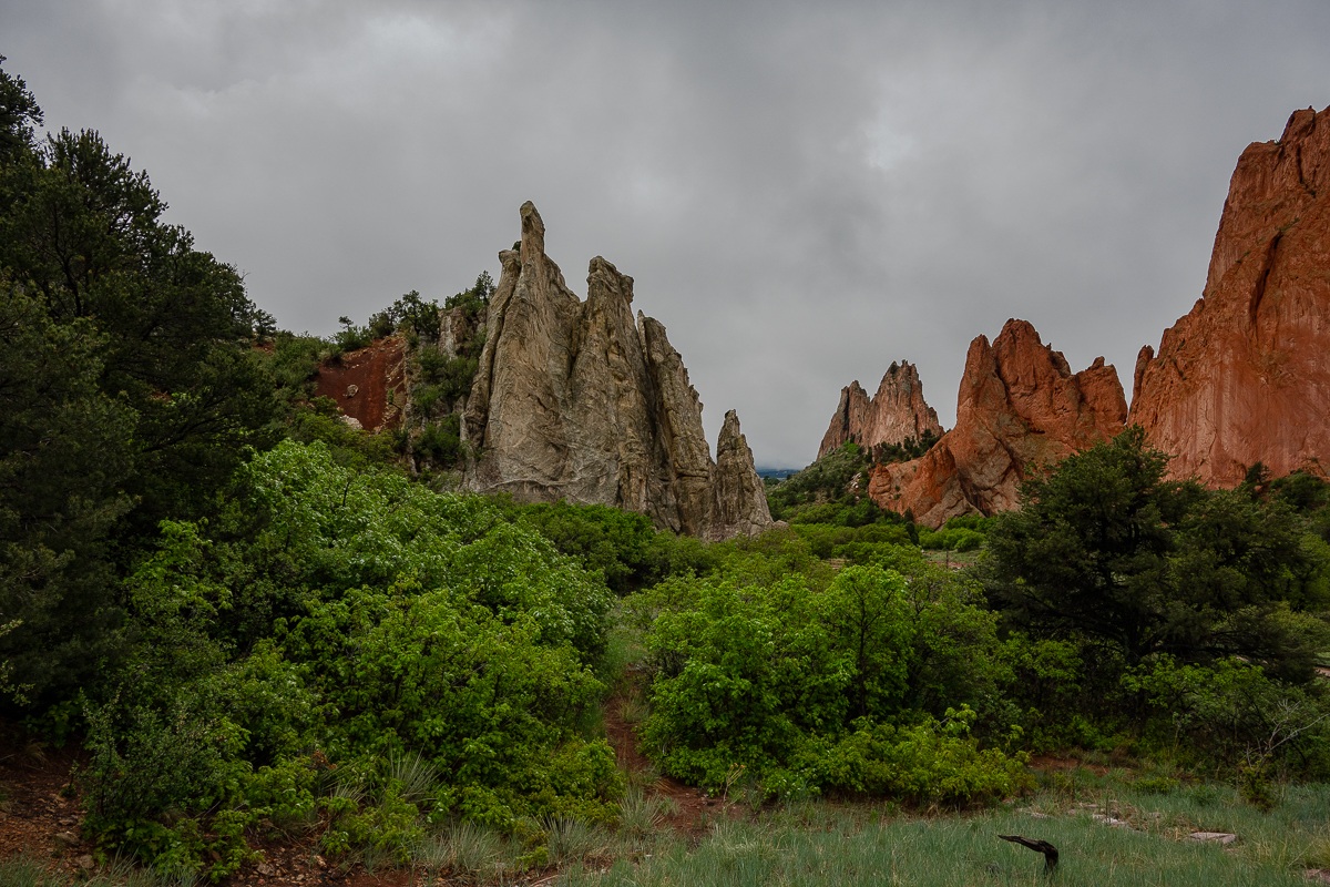 DSC_8054.jpg