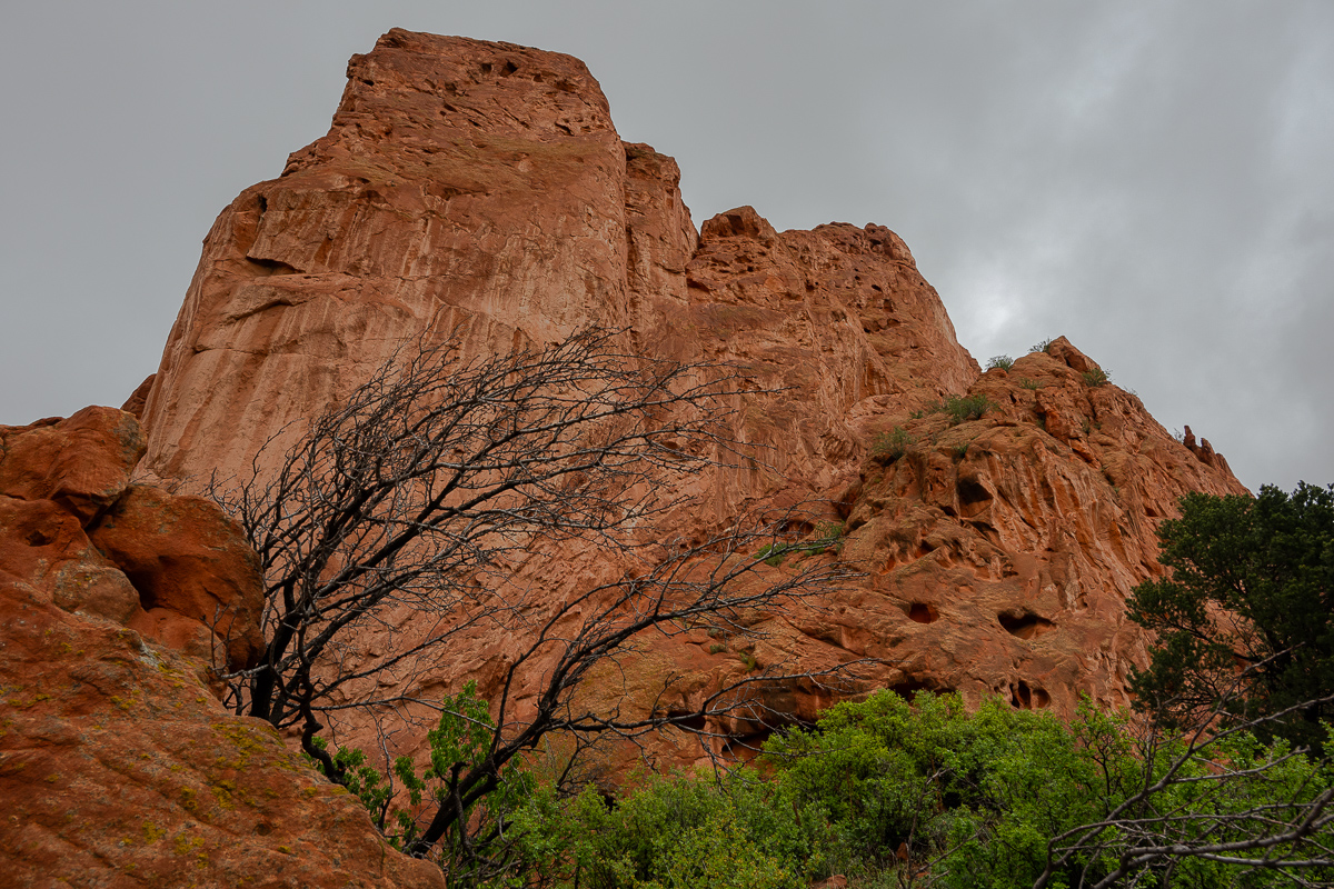 DSC_8059.jpg
