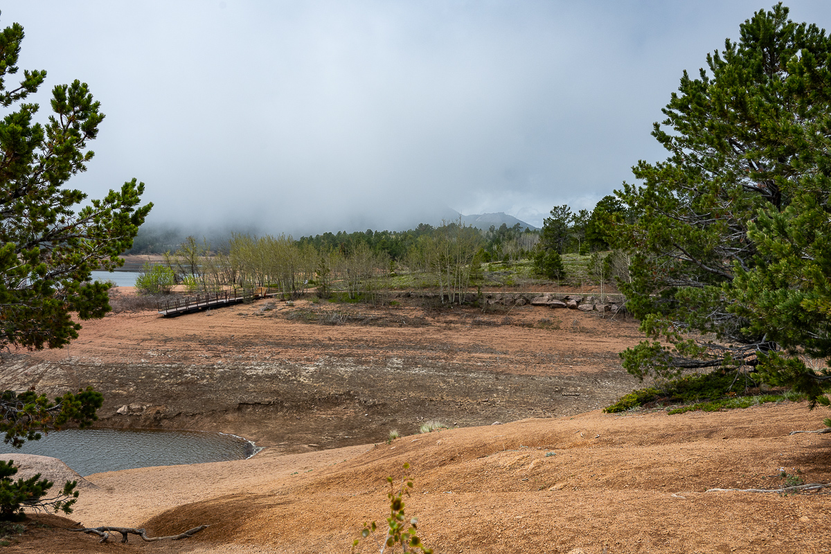 DSC_8099.jpg