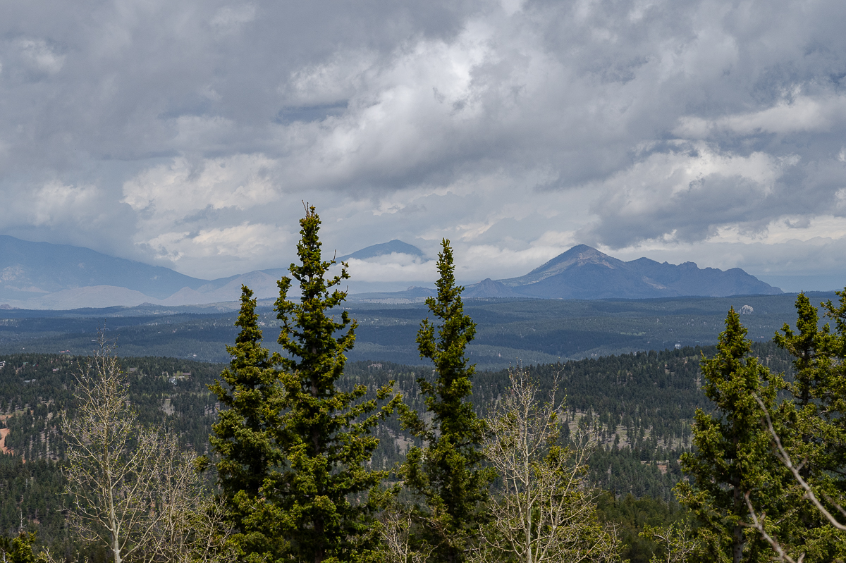 DSC_8106.jpg