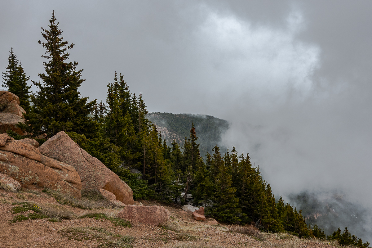 DSC_8114.jpg