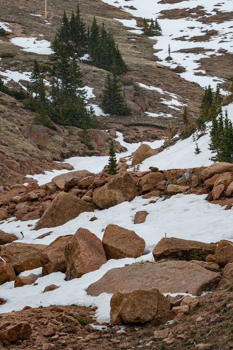 DSC_8120.jpg