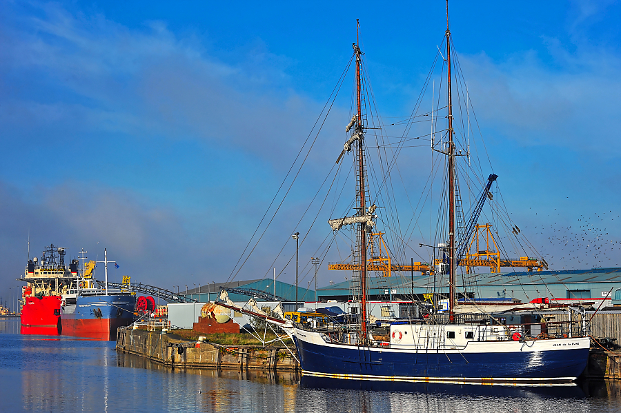 DSC_8145.jpg