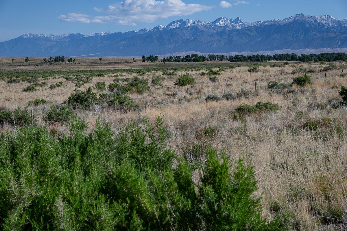 DSC_8145.jpg