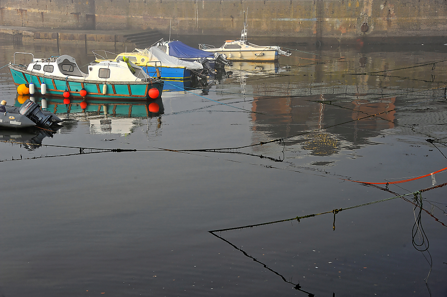 DSC_8149.jpg