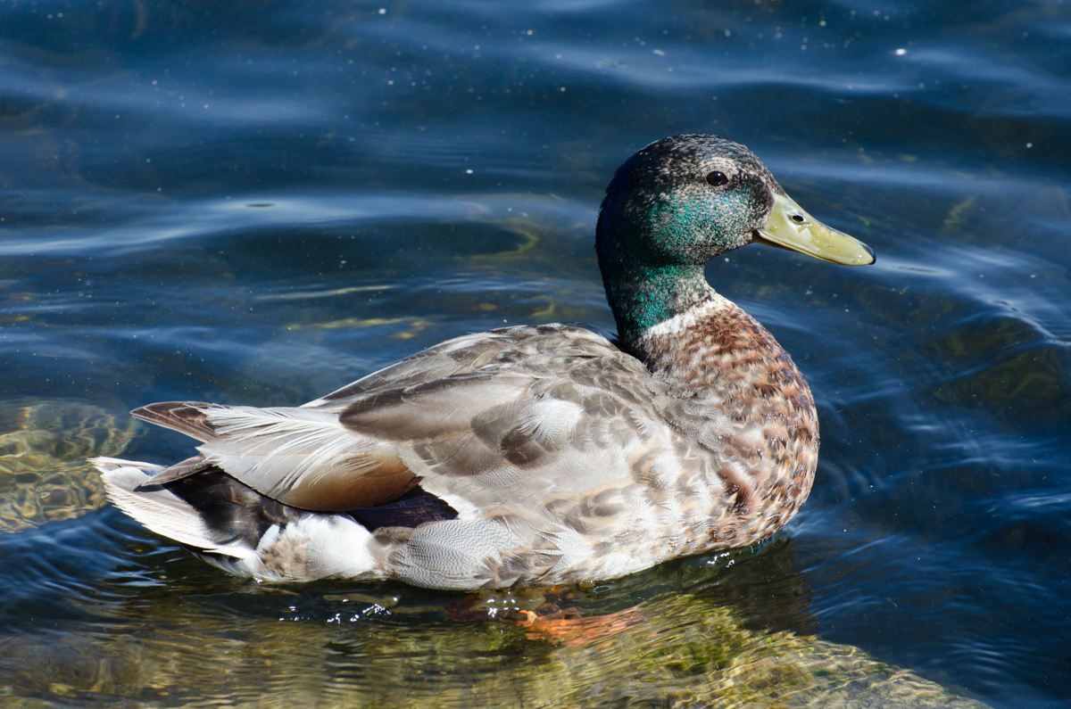 DSC_8157.jpg