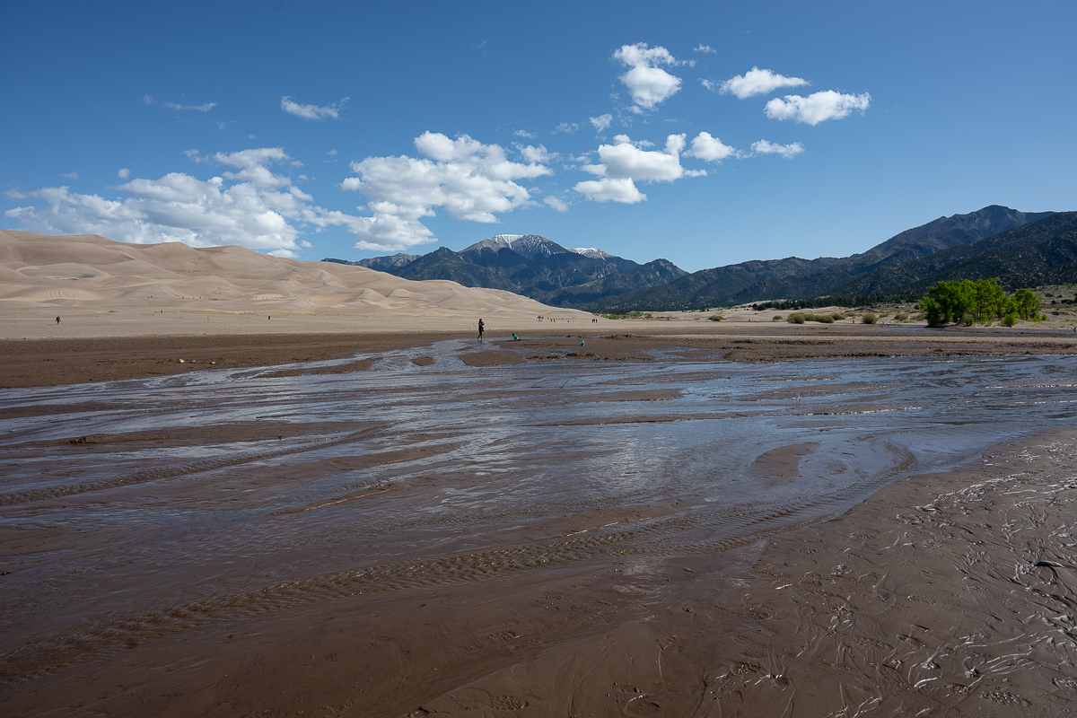 DSC_8163.jpg