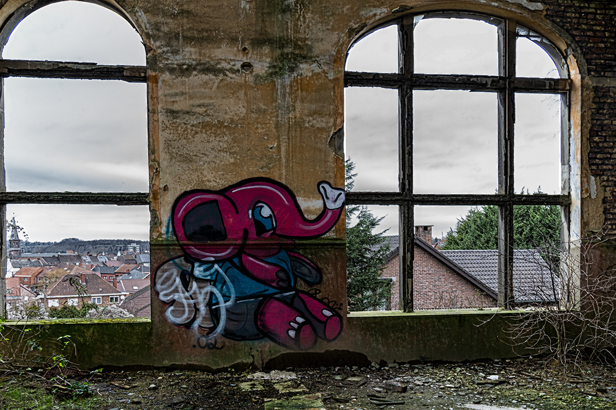 DSC_8168.jpg