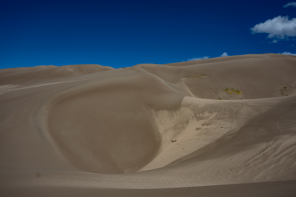 DSC_8180.jpg