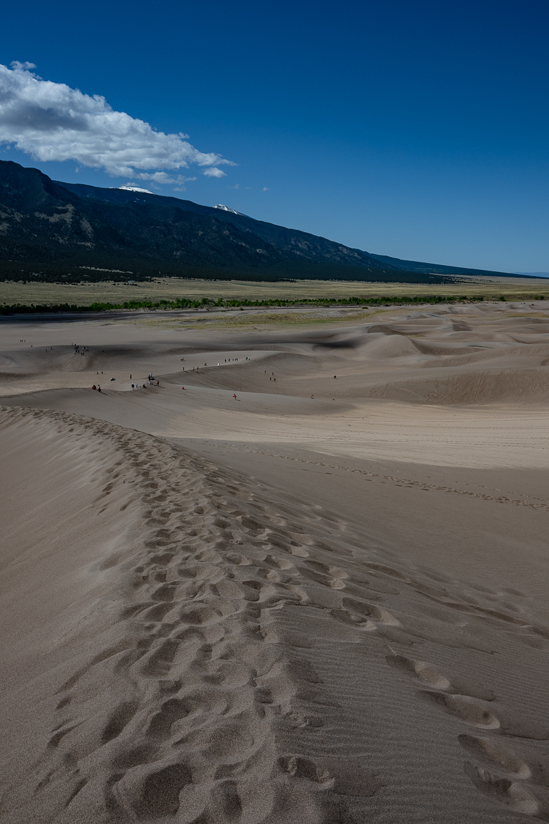 DSC_8187.jpg
