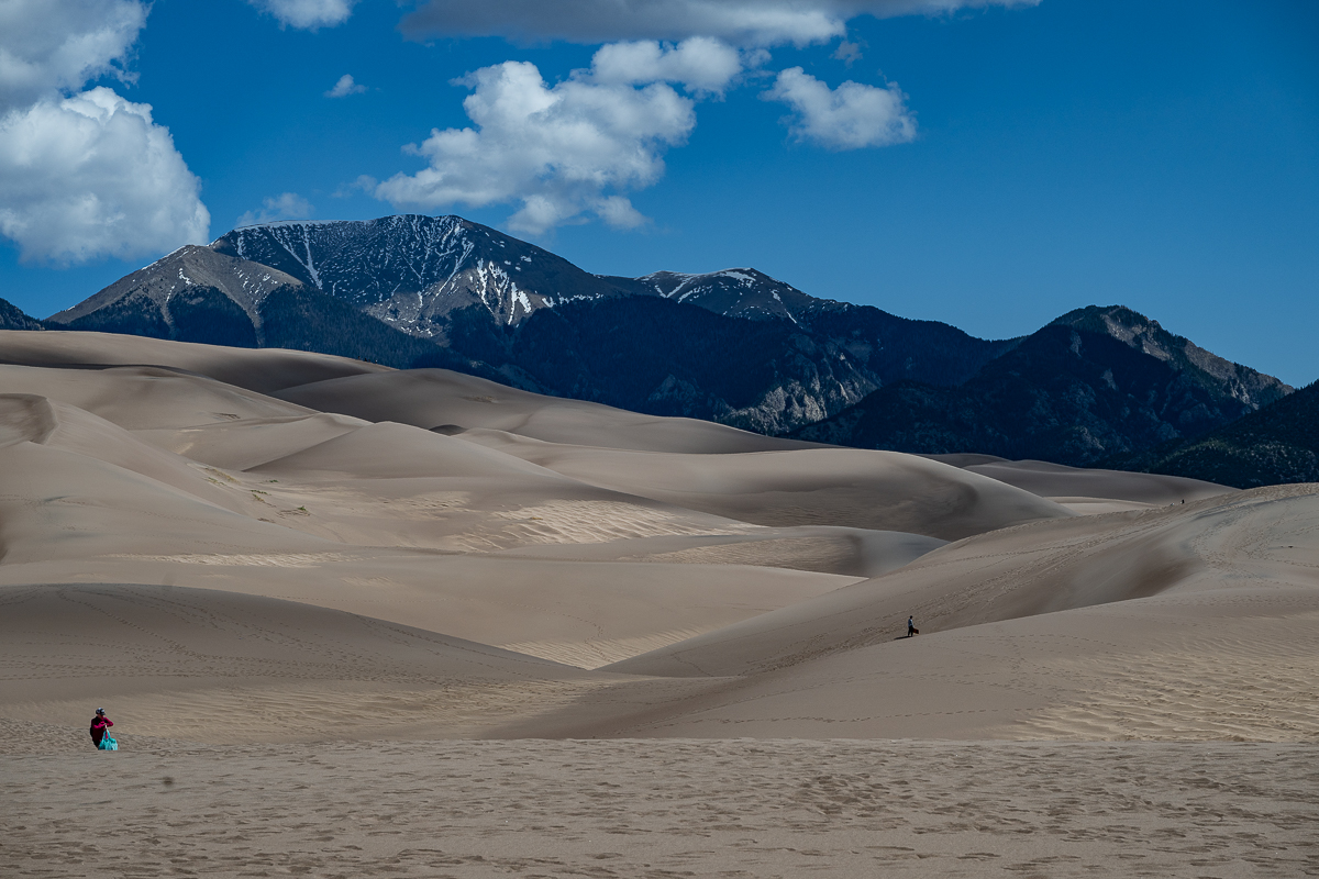 DSC_8194.jpg