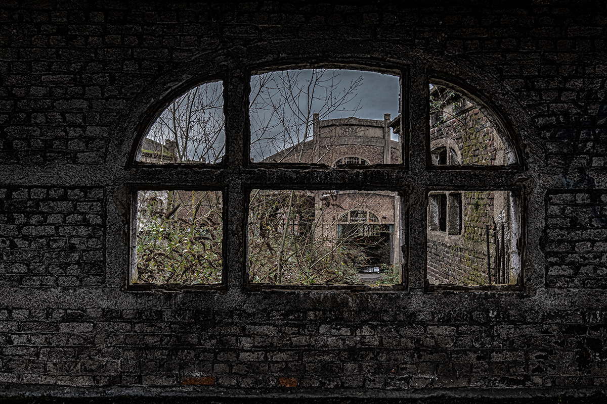 DSC_8195.jpg