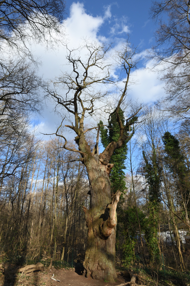 DSC_8199.JPG