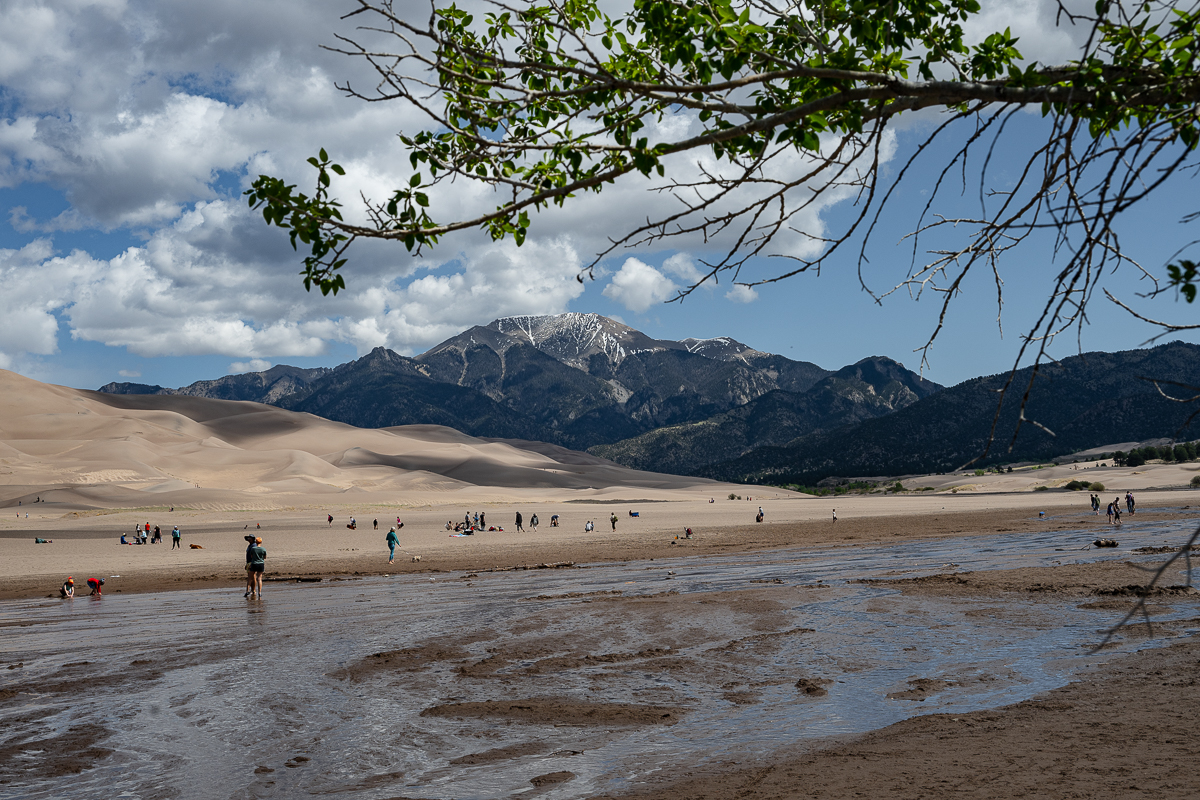DSC_8204.jpg