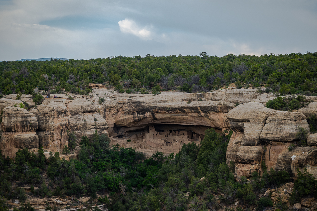 DSC_8240.jpg